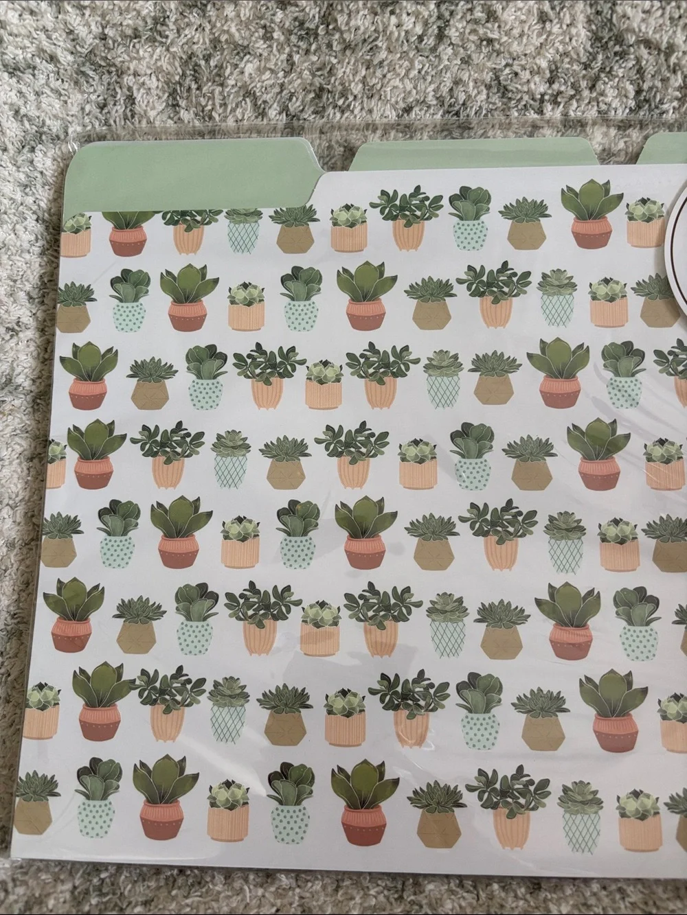 Punch Studio Designer Mint Green Succulent Cactus File Folders Set of 9 NWT
